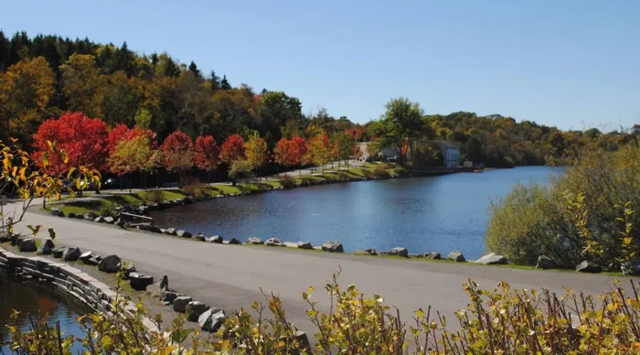 Military Training In Rockwood Park On Sunday