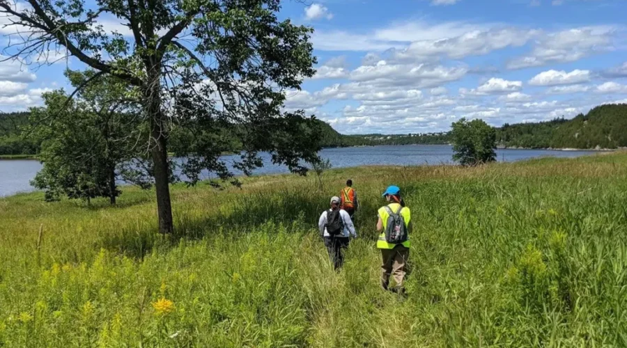 Study Looks At Saint John Harbour Wetlands