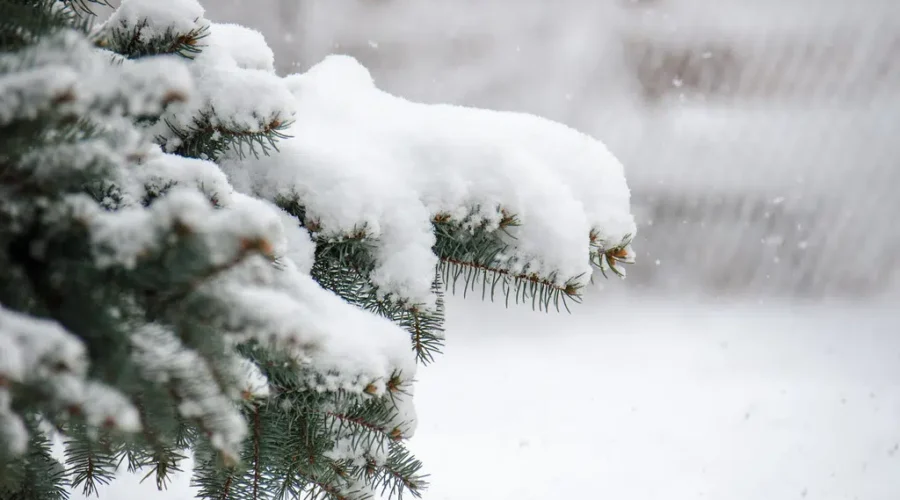 Slick Roads Reported In Places