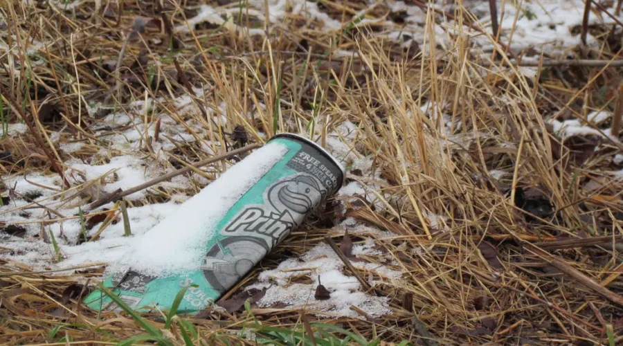 Millidgeville Clean-Up Event Planned For Sunday