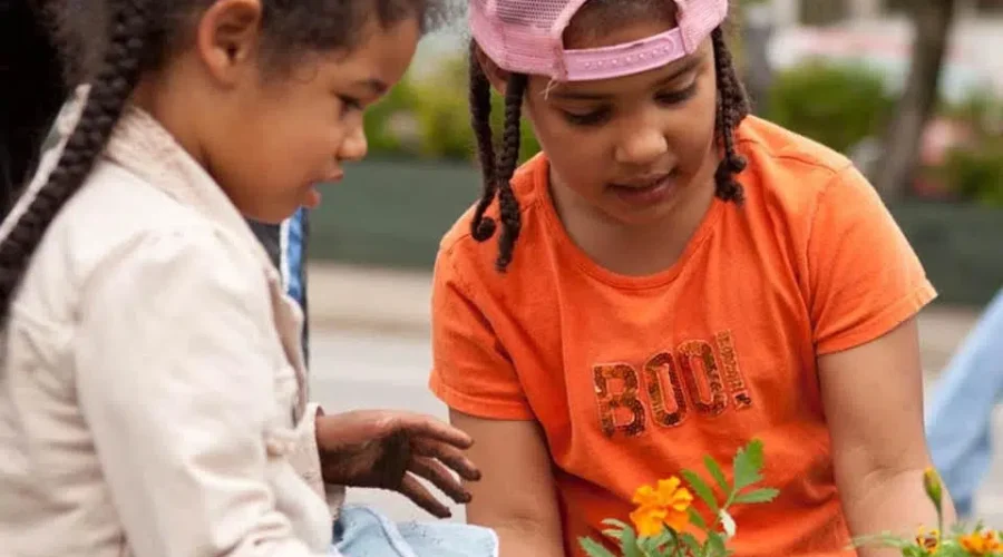 Marigolds And Murals To Celebrate 25th Anniversary