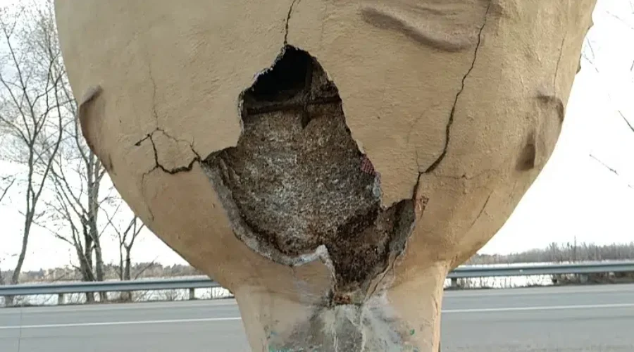 Help Save The ‘Potatoman’