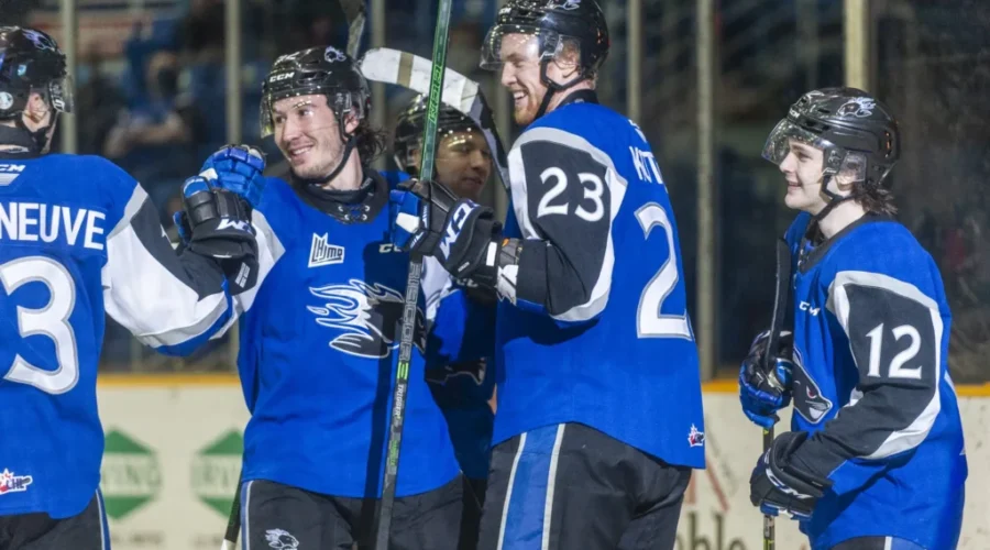 Sea Dogs Season Tickets Now Available