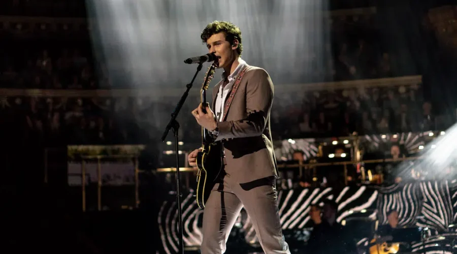 Canadian Shawn Mendes Cancels ‘Wonder’ World Tour