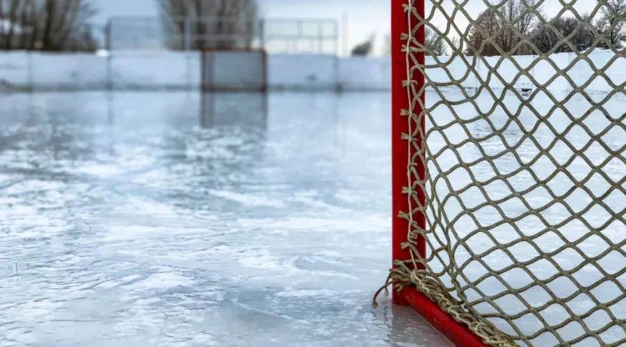 Andrea Skinner Named Interim Chair Of Hockey Canada Board Of Directors