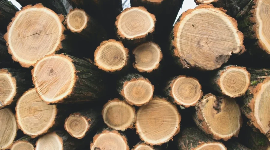Reduction In Softwood Lumber Tariffs