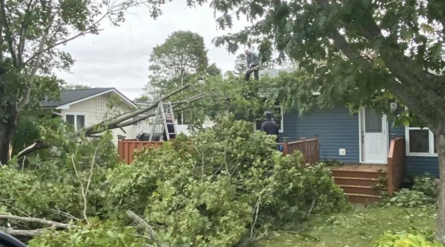 Provincial Financial Assistance Program To Help Those Affected By Fiona