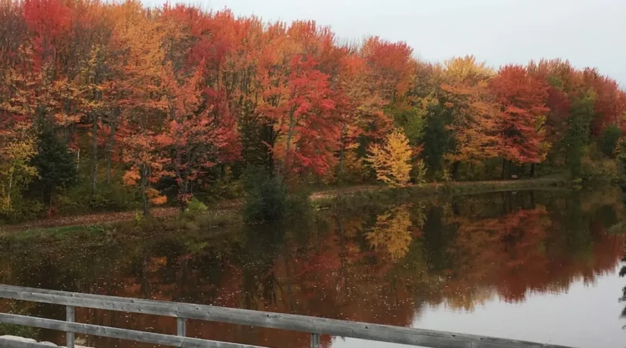 N.B. Should Expect Warm Fall: Weather Network