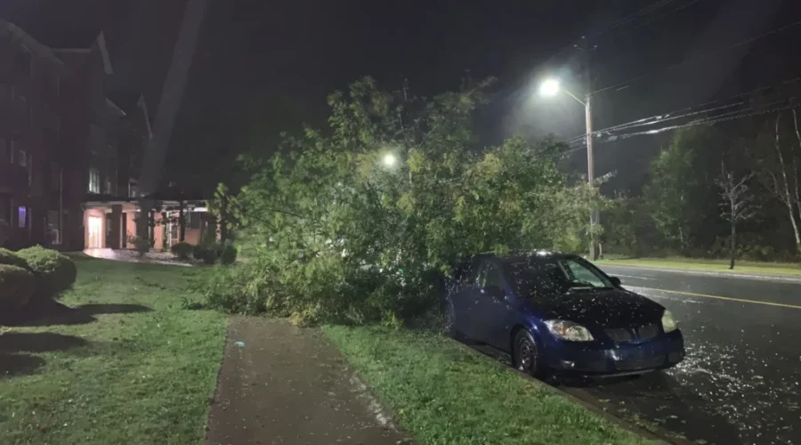 City begins clean-up work; people asked to stay home