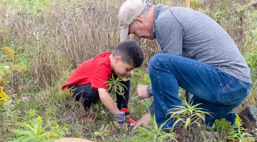 Volunteers Will Plant Up To 600 Trees In Saint John