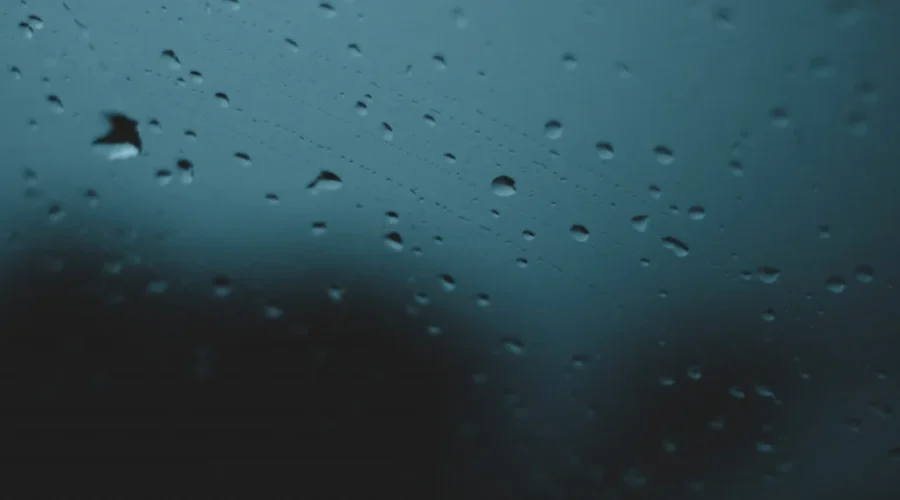 Saint John Energy Prepares For Fiona Impacts