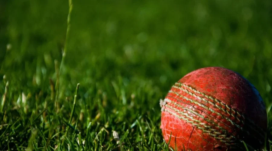Dedicated Cricket Field For Saint John