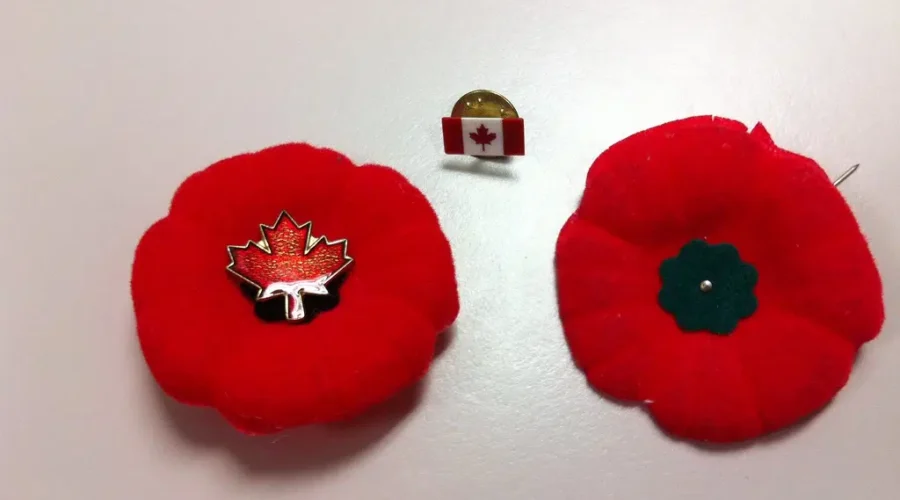 Remembrance Day Ceremony Returns To qplex