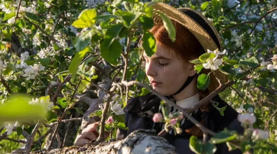 Anne Of Green Gables Takes A Break