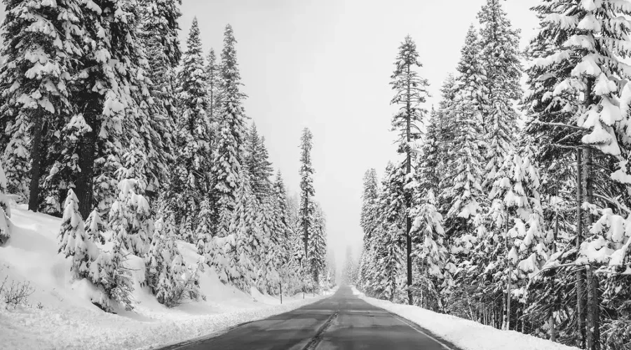 Warm Winter Likely For Southern N.B.