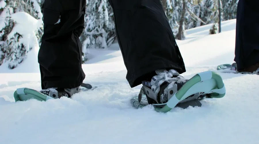 Most Canadians Are Not Excited For Winter says Poll