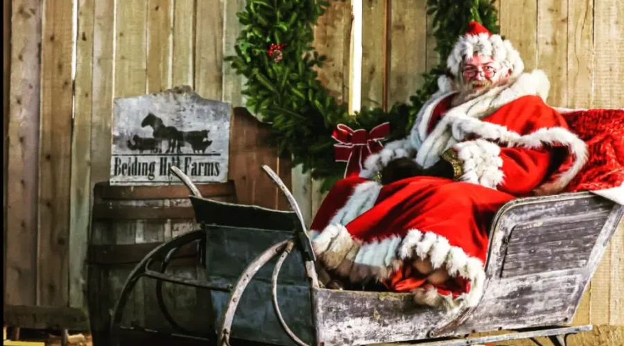 Local Farm Creates Christmas Market With European Twist