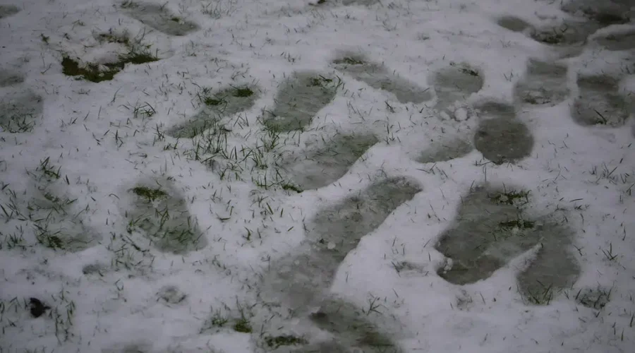 More Snow, Rain, And Winds Forecasted