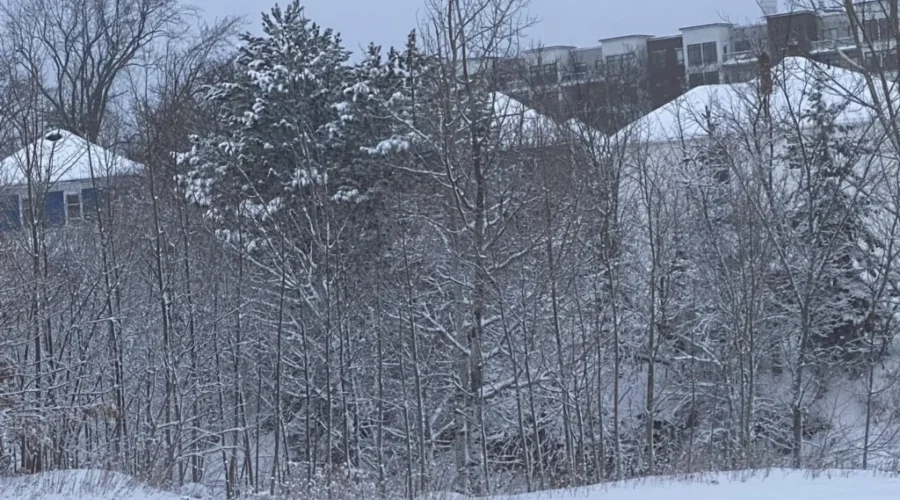 Another Winter Storm Likely Wednesday Night, Thursday