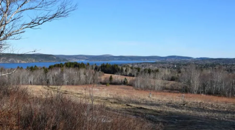 Rothesay Has No Plans To Buy Spyglass Hill