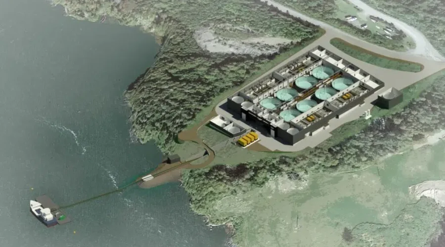 Cooke gets green light to build $72M salmon farm in N.B.