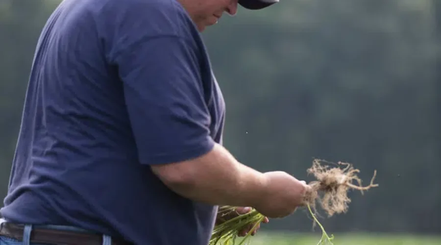 New N.B initiative supporting farmers mental health