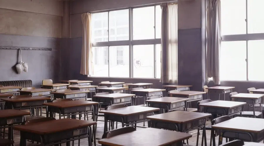 Anglophone DEC members should have more input, not less, member says