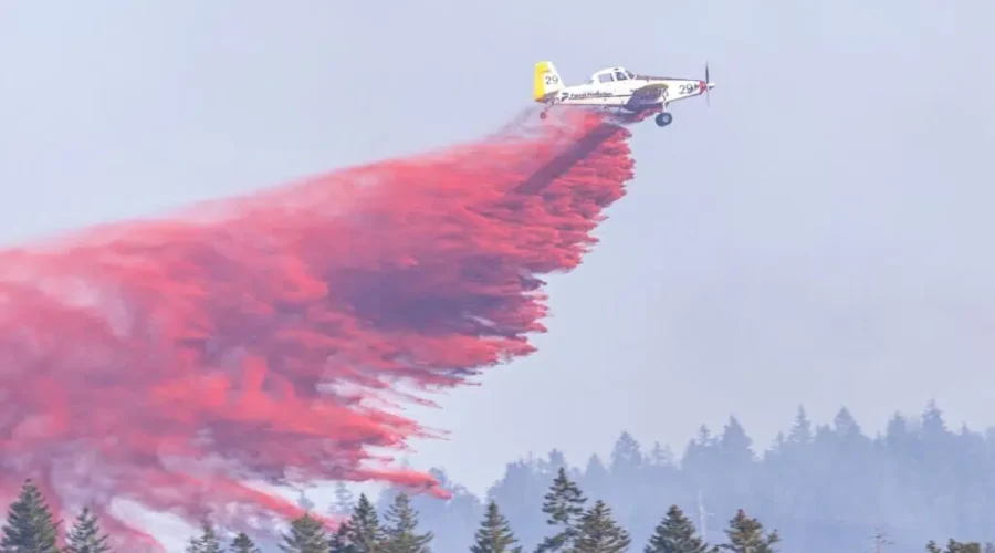 Little known non-profit helps N.B. and its neighbours fight forest fires