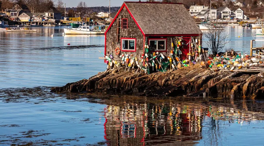 Mackerel closure extended