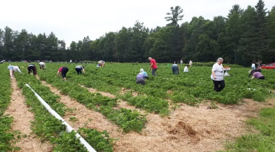 Extra summer rain challenging seasonal businesses
