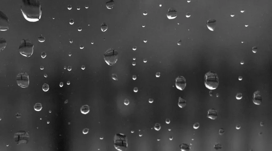 Another Week, Another Big Rain