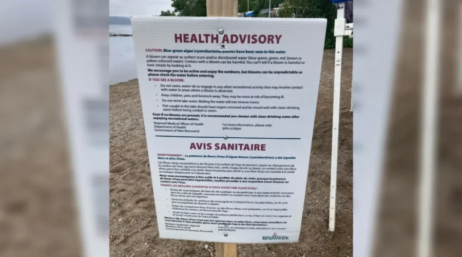 Blue-green algae advisory at Renforth Beach