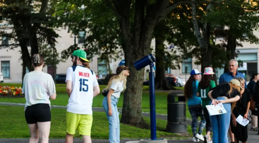 Engage with contemporary art in Saint John