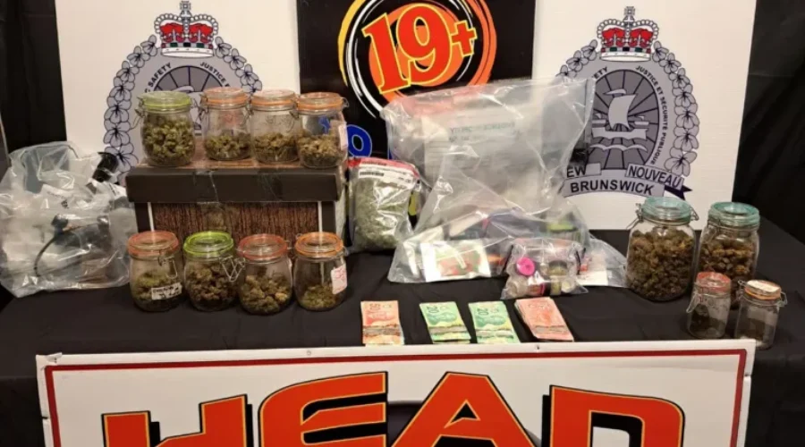 Man arrested after suspected cannabis dispensary raided
