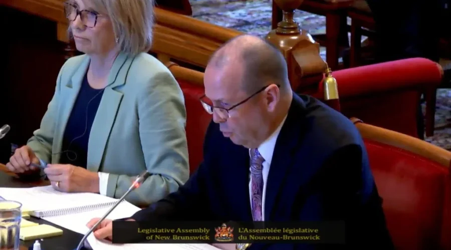 Auditor general releases first part of COVID-19 audit