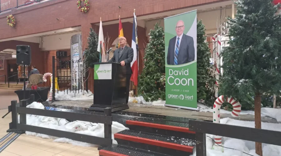 Green Party proposes plans to improve Saint John’s financial situation