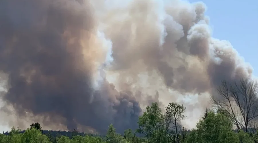 Below-average forest fire season in N.B.