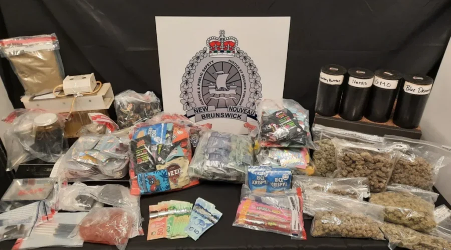 Man arrested after officers search Saint John weed dispensary