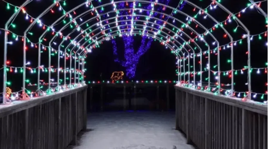 Magnetic Hill Zoo Wild Lights opens December 1st