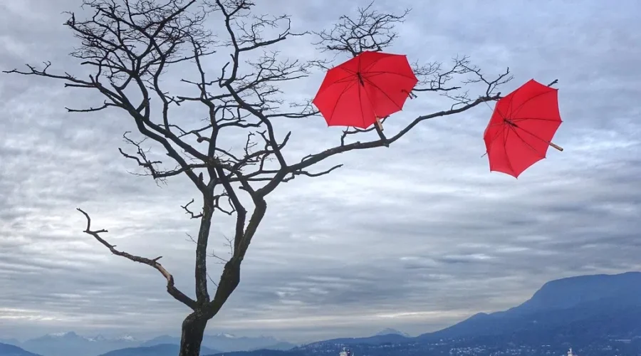 UPDATE: Wet and windy weather for N.B.