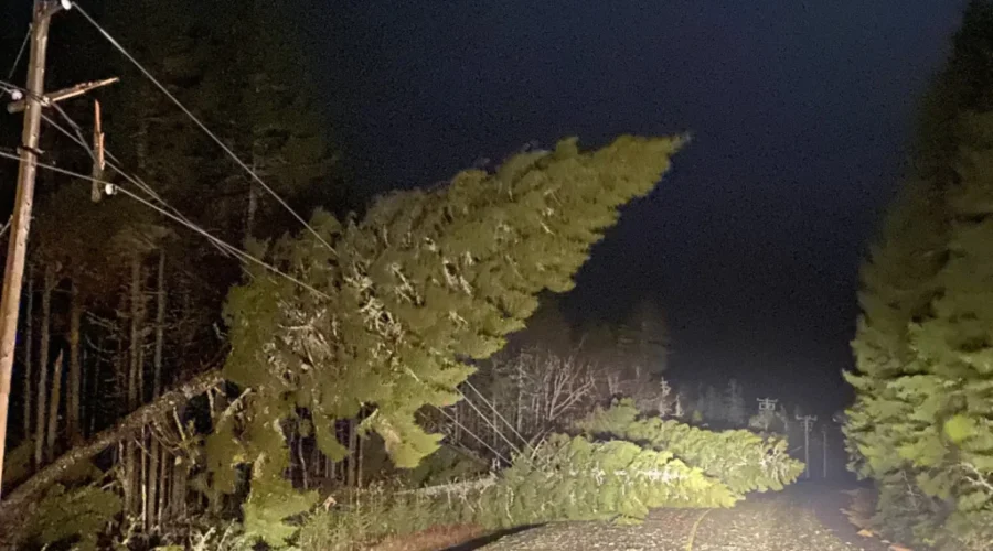 Cleanup begins after damaging winds