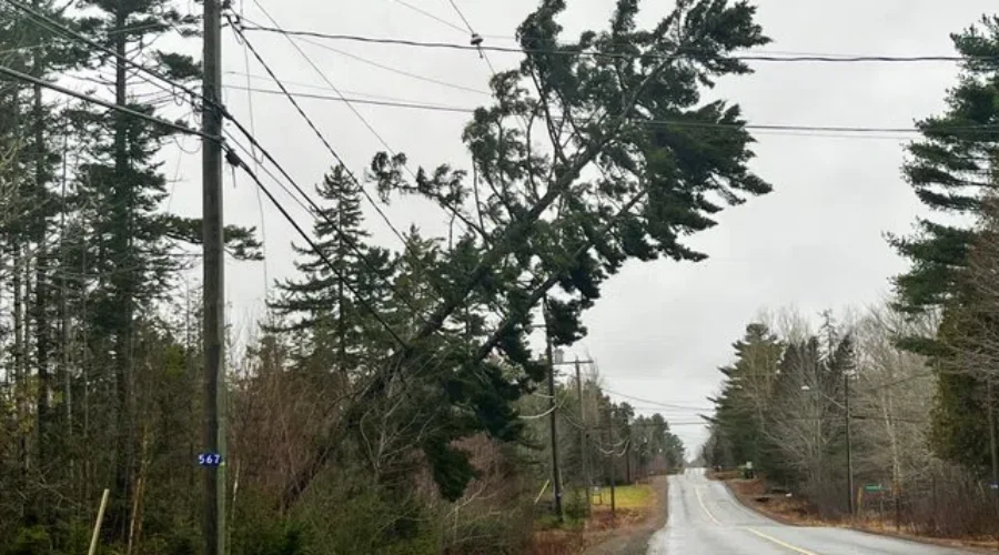 Some may still be without power at Christmas: NB Power