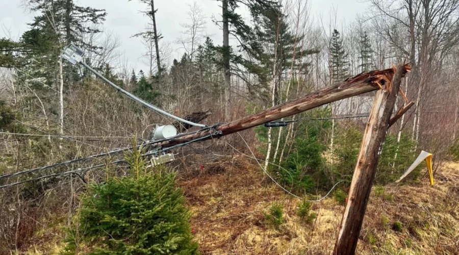 Power fully restored following last Monday’s storm