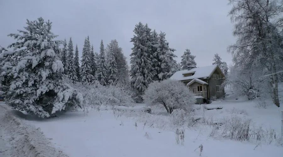 Messy weather in N.B. for first snow day of 2024