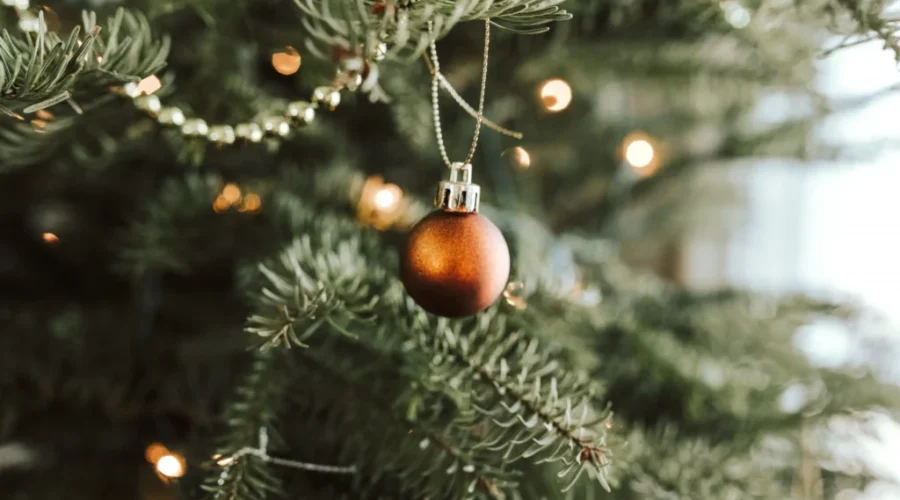 Christmas tree recycling in the Saint John region