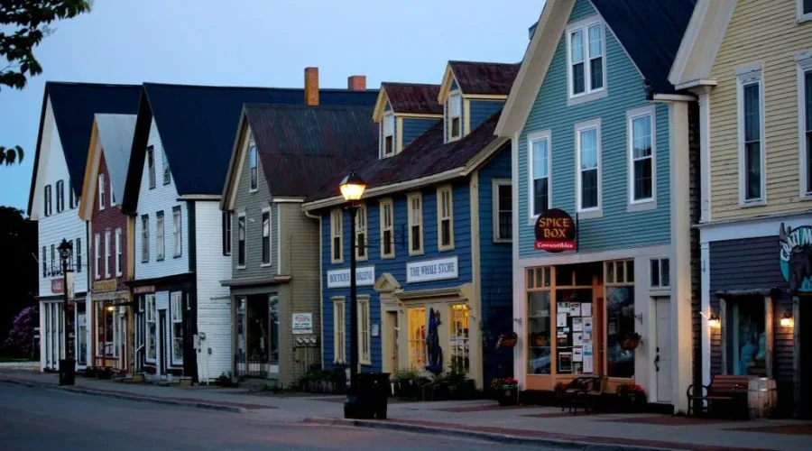 Local artist showcases her work in Saint Andrews