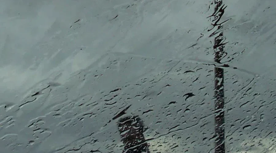 Heavy rain, high winds for southern N.B.