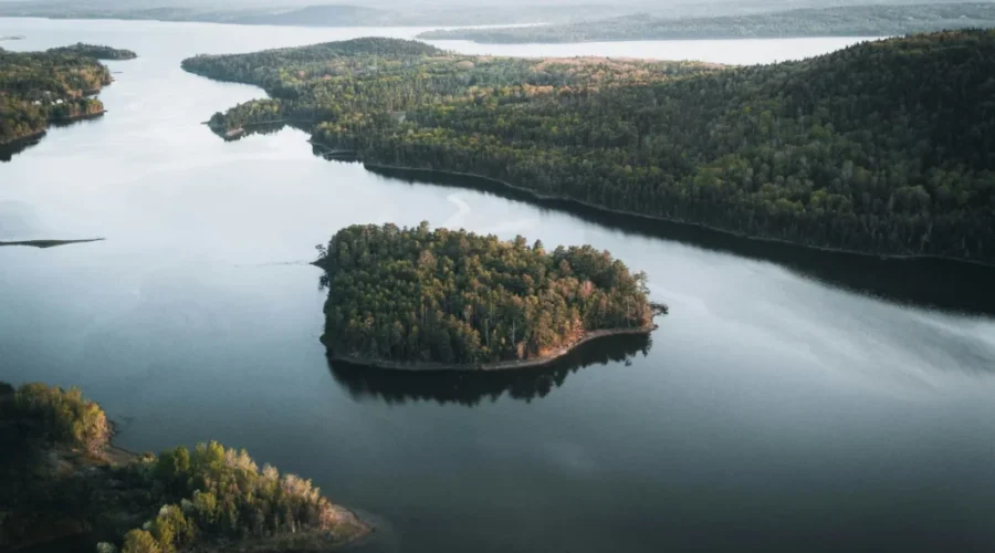 Conservation council responds to water strategy report