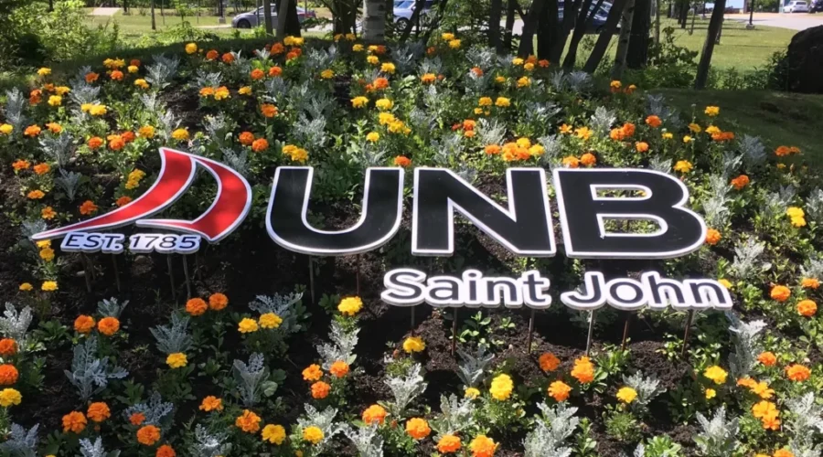 Bed bug concerns at UNB Saint John