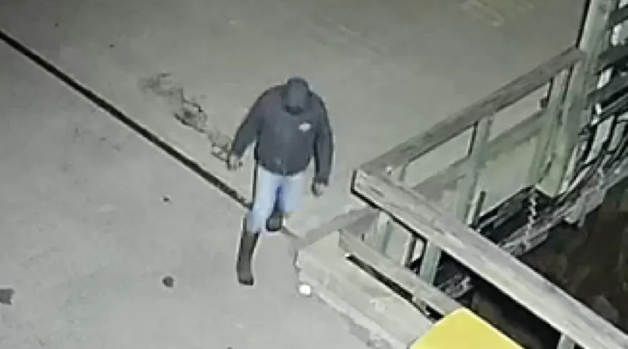 Fires at Back Bay wharf intentionally set: RCMP